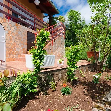 Zorka Apartment Medveja