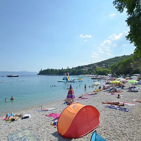 Zorka *