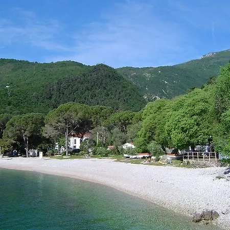 Zorka